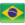 브라질 국기 아이콘